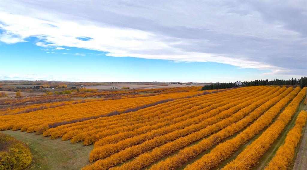 29250 RR 34, Rural Mountain View County, Alberta, T0M 0S0
