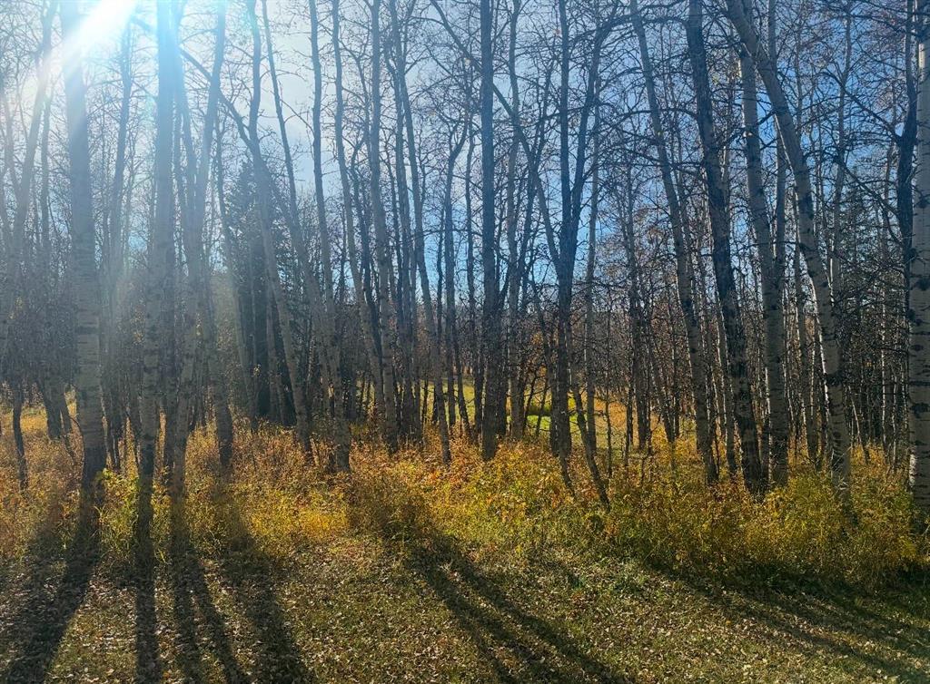 224 Street W, Rural Foothills County, Alberta, T0L1K0