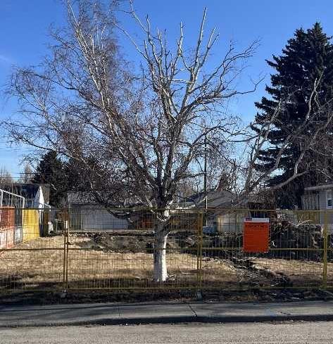 1116 Radnor Avenue NE, Calgary, Alberta, T2E5H6