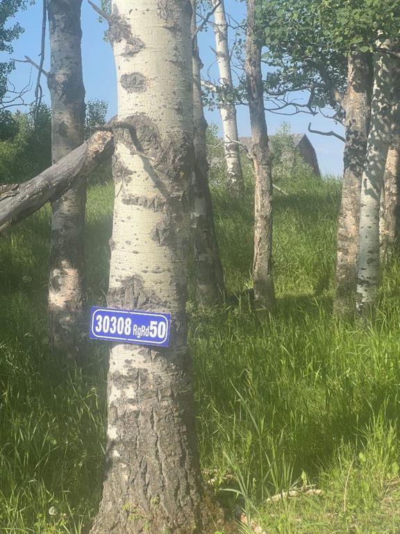 30308 RR50, Rural Mountain View County, Alberta, T0M0R0