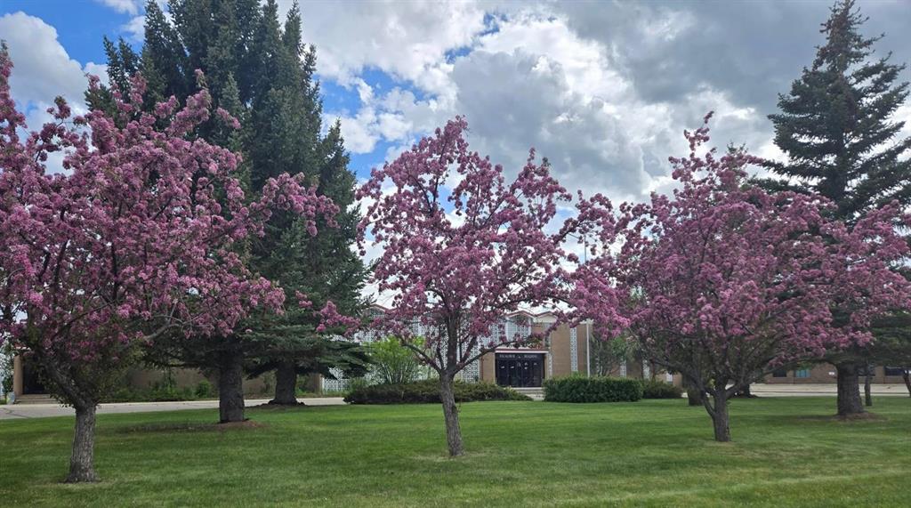 1601 15 Avenue, Didsbury, Alberta, T0M0W0