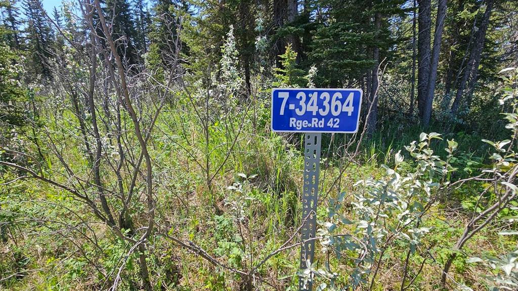 #7 34364 Range Road 42, Rural Mountain View County, Alberta, T0M 1X0