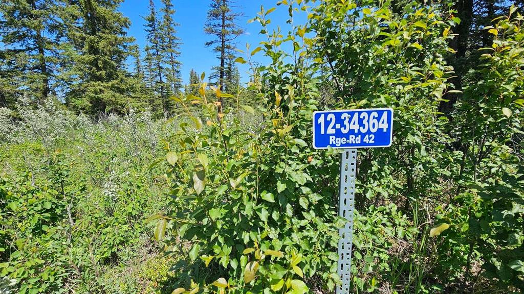 #12 34364 Range Road 42, Rural Mountain View County, Alberta, T0M 1X0