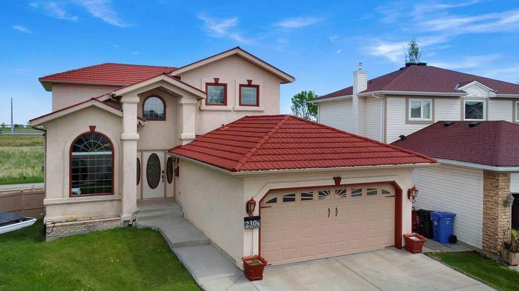 230 Coral Springs Place NE, Calgary, Alberta, T3J3M6