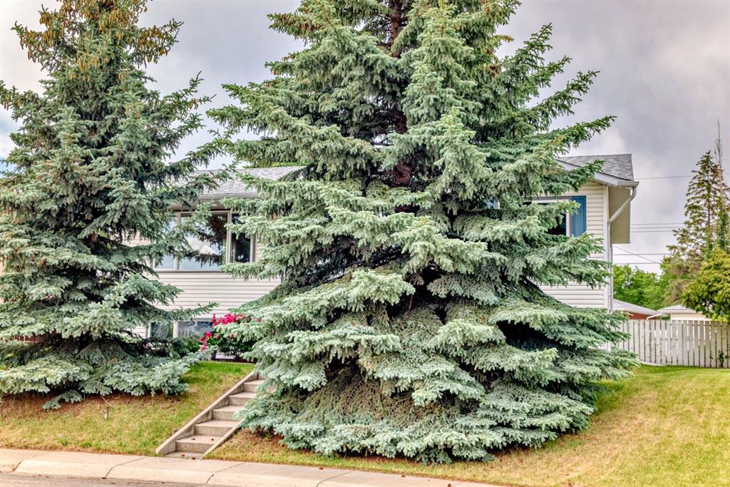 5036 Marshall Road NE, Calgary, Alberta, T2A2Y8