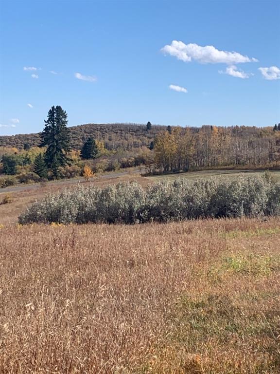 16 Red Willow Court W, Rural Foothills County, Alberta, T2X 0X0