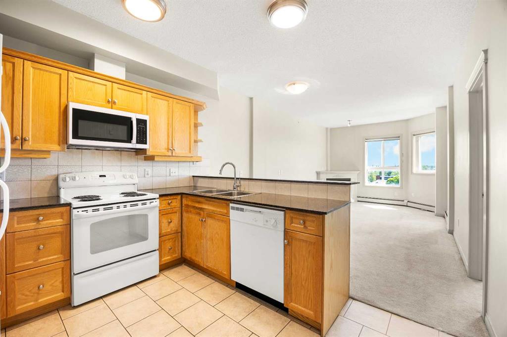 #509 1507 Centre A Street NE, Calgary, Alberta, T2E 2Z8