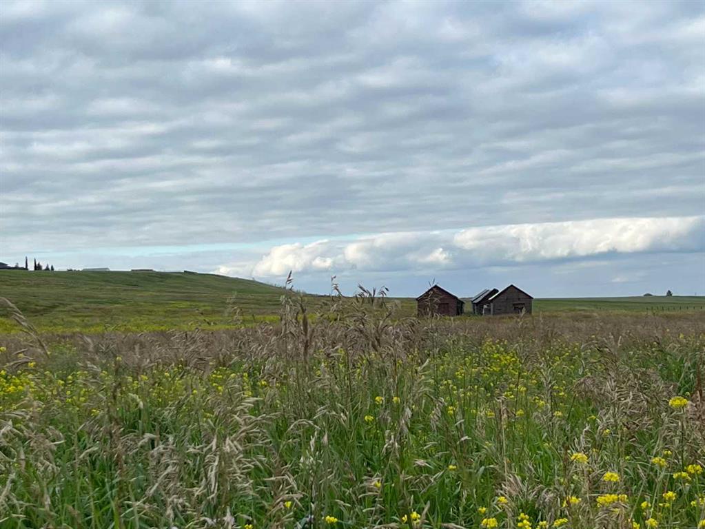 402 Avenue W, Rural Foothills County, Alberta, T1S 2E4