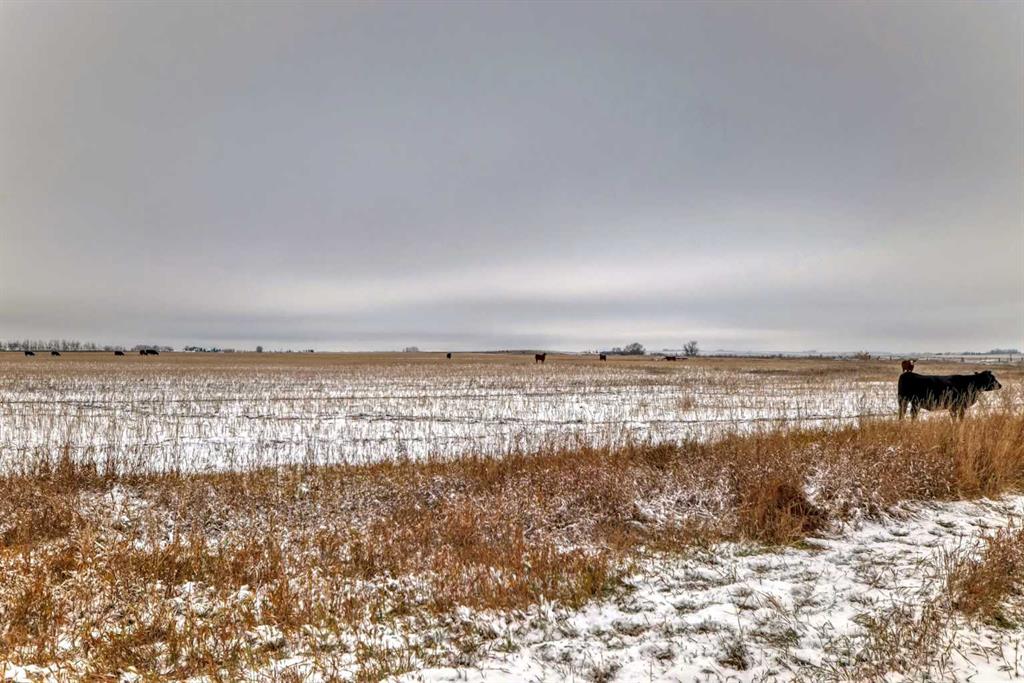 Range Road 241, Rural Wheatland County, Alberta, T1P 1K1