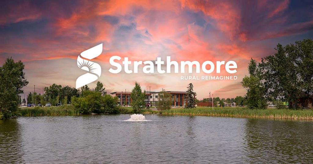 244 George Freeman Trail W, Strathmore, Alberta, T3Z1L2