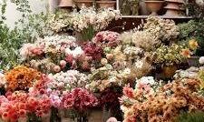 2114 54 Avenue SW, Calgary, Alberta, T3E 1L7