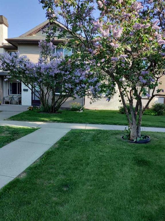 141 Cedar Springs Gardens SW, Calgary, Alberta, T2W 5J9