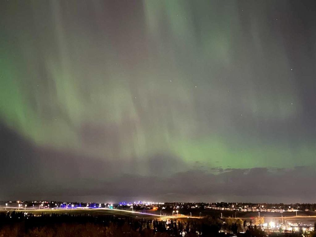 #811 8604 48 Avenue NW, Calgary, Alberta, T3B 5E6