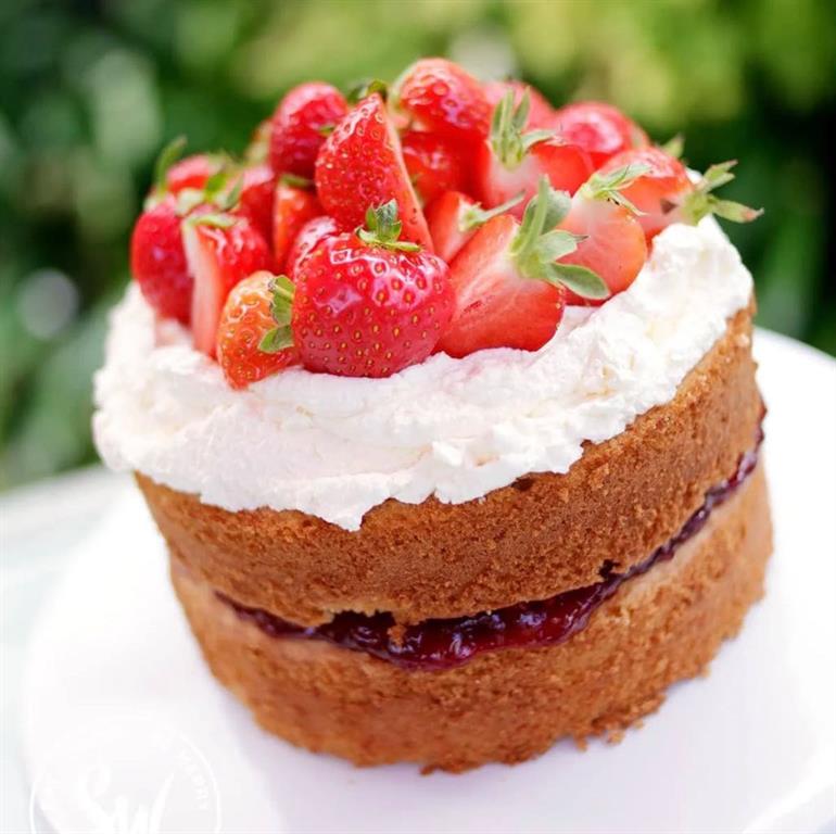 14 street, Calgary, Alberta, T0T0T0