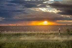 235082 Range Road 243, Strathmore, Alberta, T1P 2C9