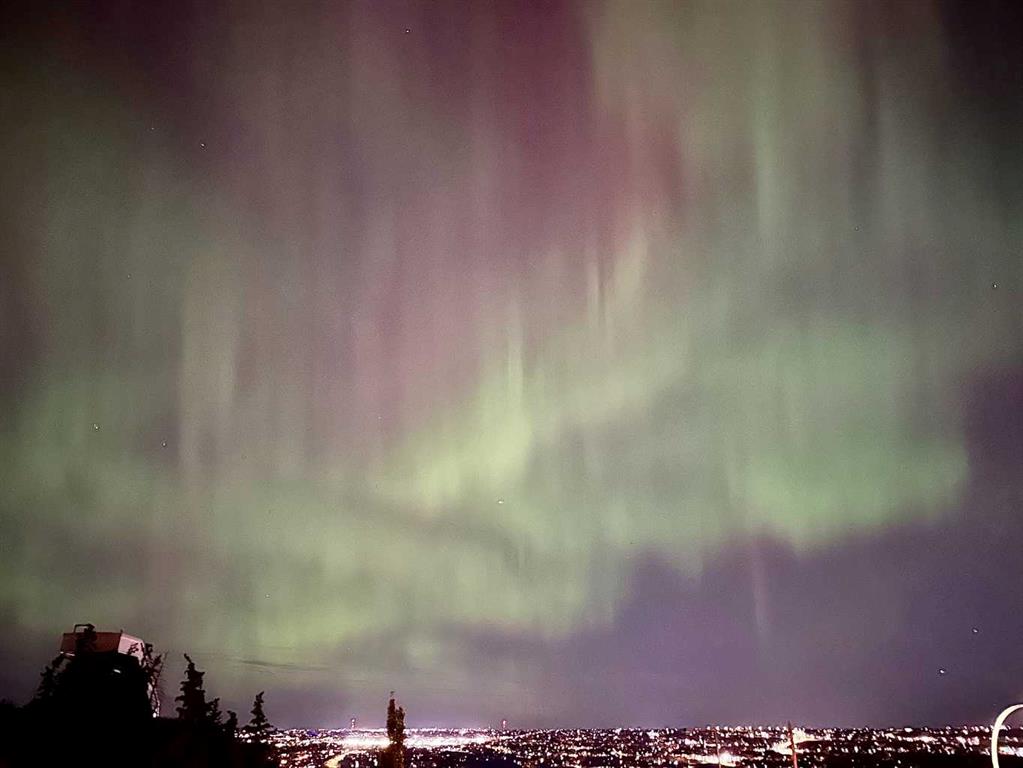 61 Cougar Ridge Cove SW, Calgary, Alberta, T3H 0S5