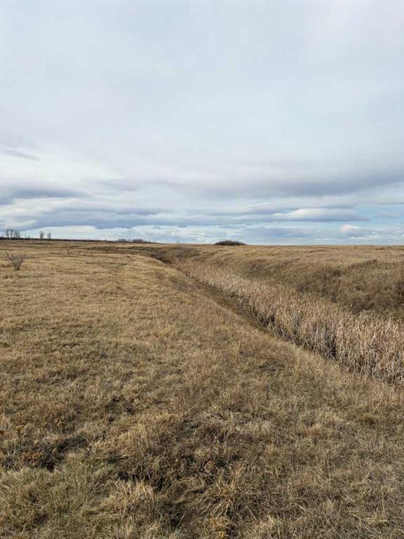 W 4 Range 25 Twp 24 Section 35 NE, Rural Wheatland County, Alberta, T1P 0J1