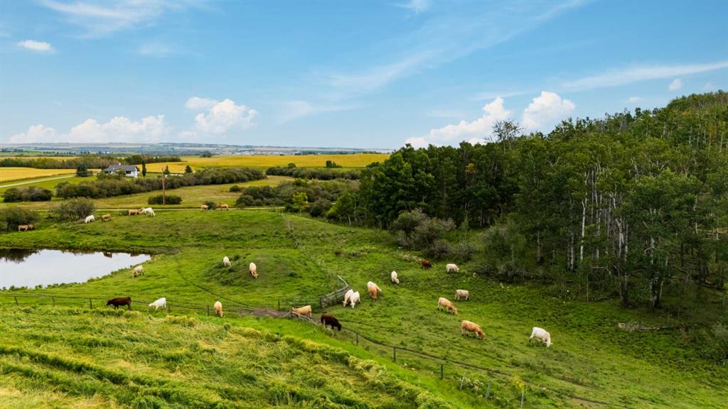 402 Avenue, Rural Foothills County, Alberta, T1V 2E0