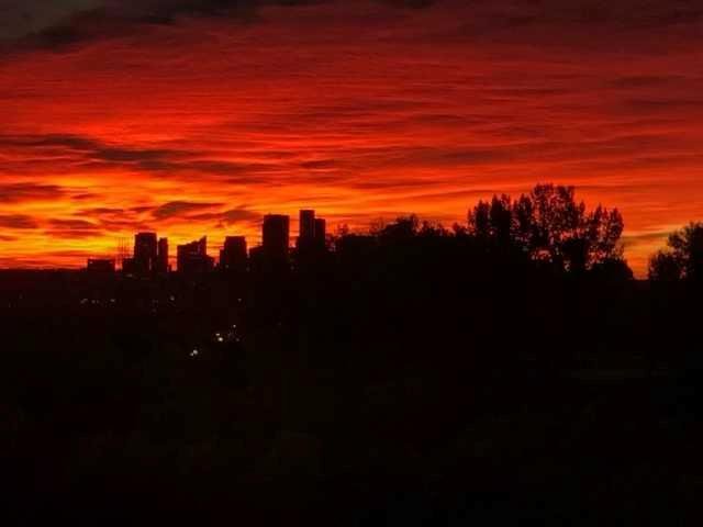 #202 520 Cedar Crescent SW, Calgary, Alberta, T3C 2Y8