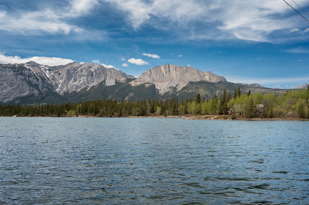 25 Bagley Pass, Rural Bighorn No. 8, M.D. of, Alberta, T0L2C1